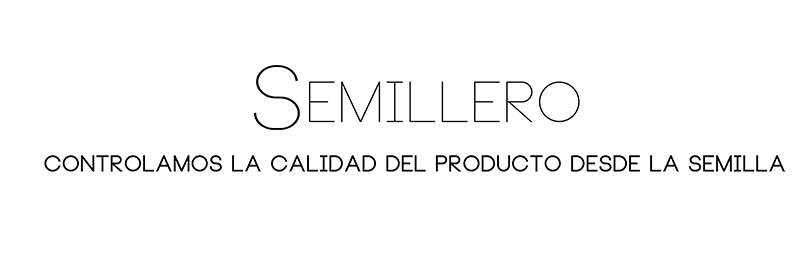 semillero
