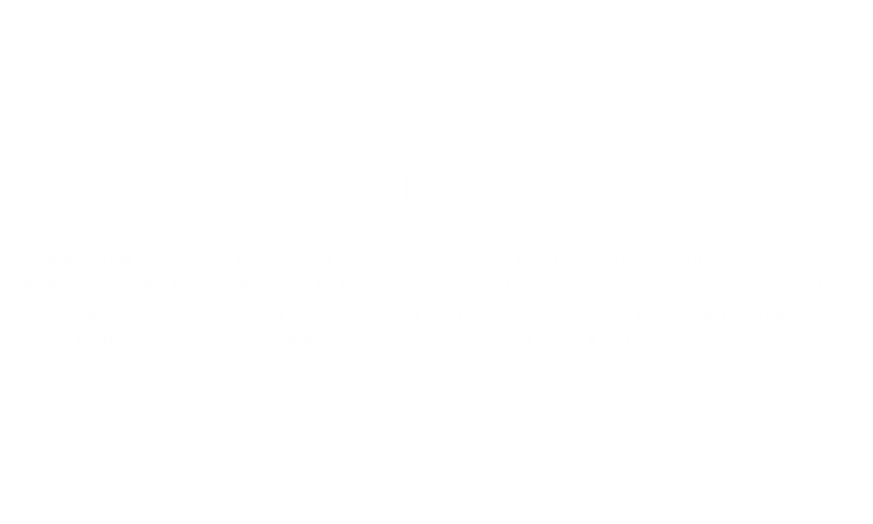 calidad